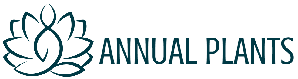 Annual Plants Popular Shop