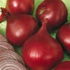 Red Wing Onion