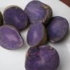 All Blue Potato -Annual Plants Popular Shop all blue potato plant 1876 detail