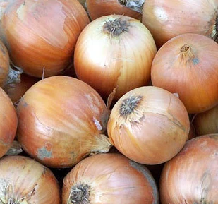 Copra Onion 3 Copra Onion