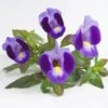 Indigo Moon Torenia -Annual Plants Popular Shop indigo moon torenia plant 1570 detail
