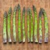 Jersey Giant Asparagus Plant - 2-3 Year Crowns - 10-Pack -Annual Plants Popular Shop jersey giant asparagus plant 152 detail