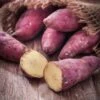 Murasaki Sweet Potato -Annual Plants Popular Shop murasaki sweet potato plant 1960 detail